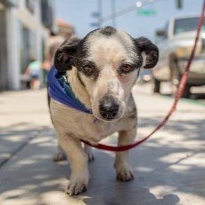 Meet your Posher, Shari